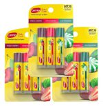 Carmex Daily Care Moisturizing Lip Balm Stick With SPF 15