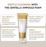 SKIN1004 Madagascar Centella Ampoule Foam (1)