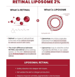 Seoul 1988 Retinal Liposome 2% + Black Ginseng Serum - Image 3