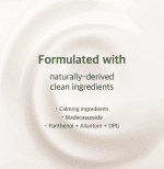 ROUND LAB Mugwort Calming Cream - Image 2